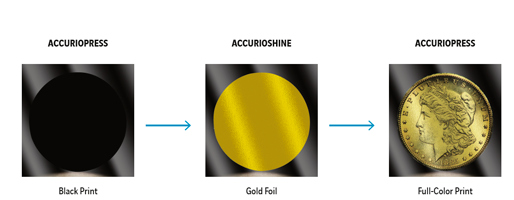 AccurioShine-101 Function